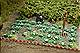 1/43 Garden for O gauge model railway